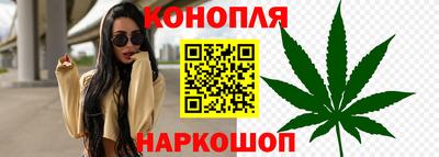 spice Балахна